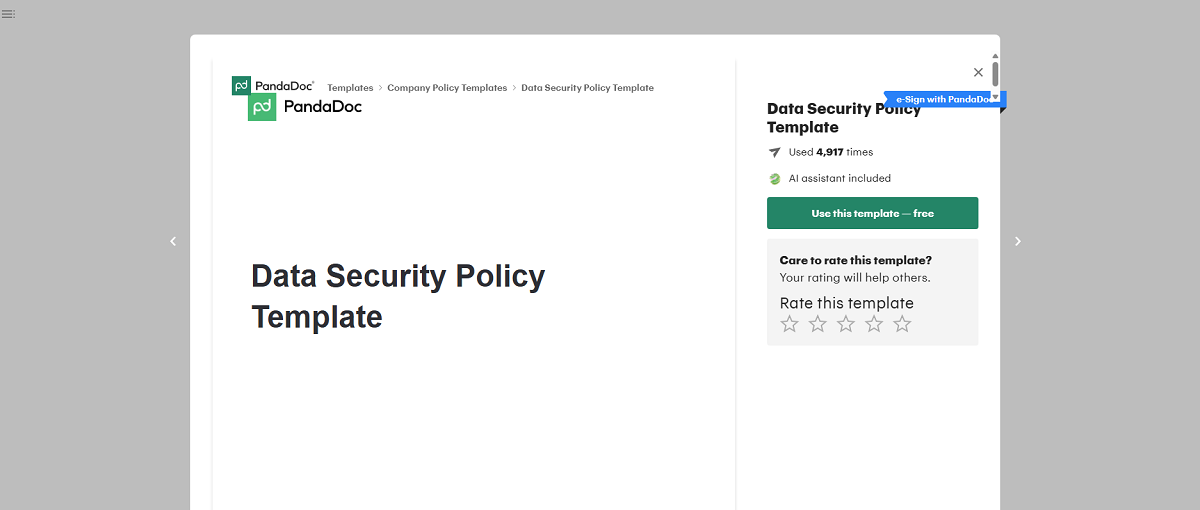 Data Security Policy Template