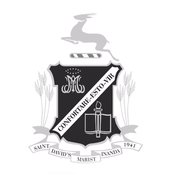 St Davids School Logo