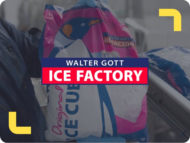 Beutel Eiswürfel der Walter Gott Ice Factory mit Firmenlogo