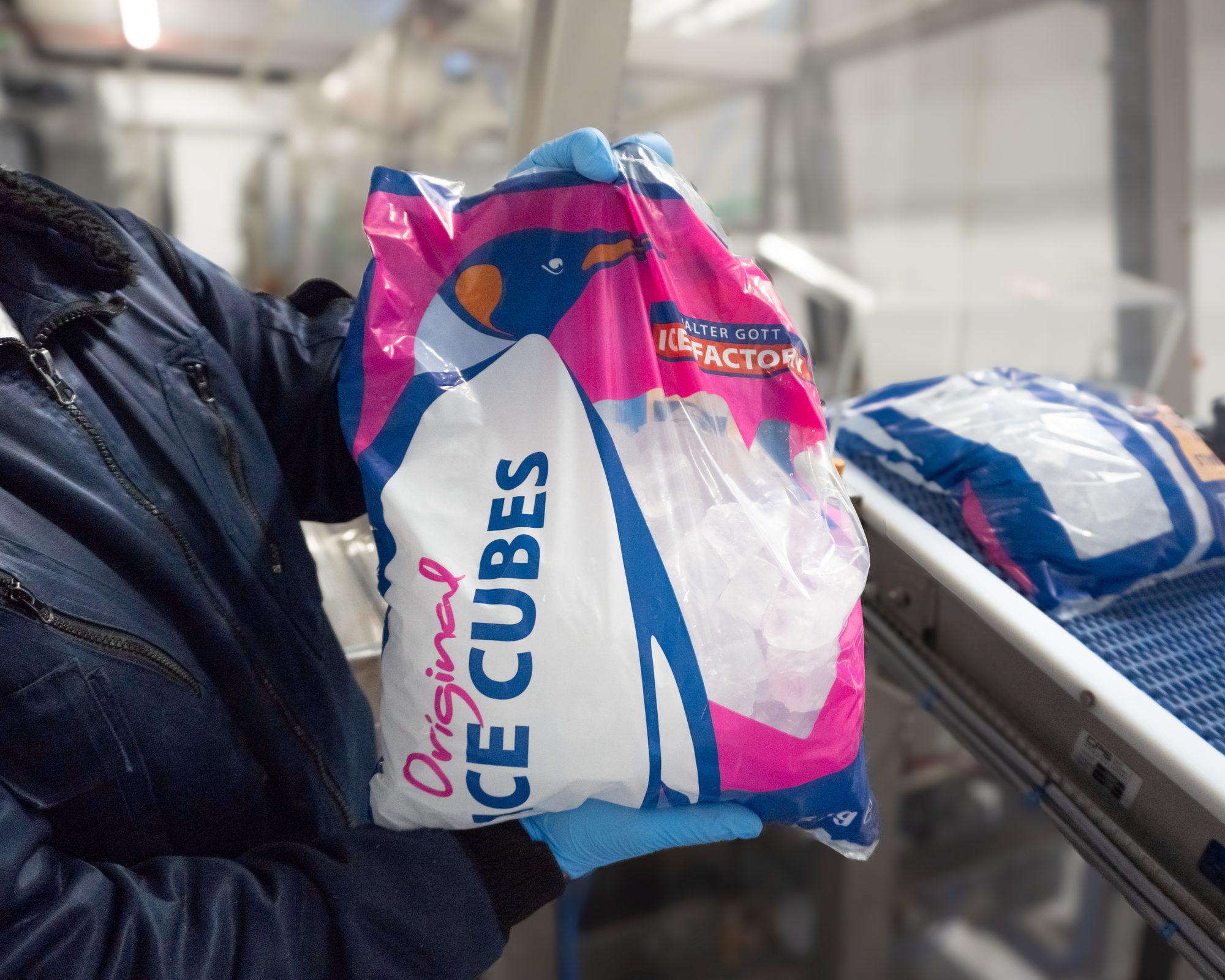 Mitarbeiter hält einen Beutel Eiswürfel der Walter Gott Ice Factory an der Verpackungslinie