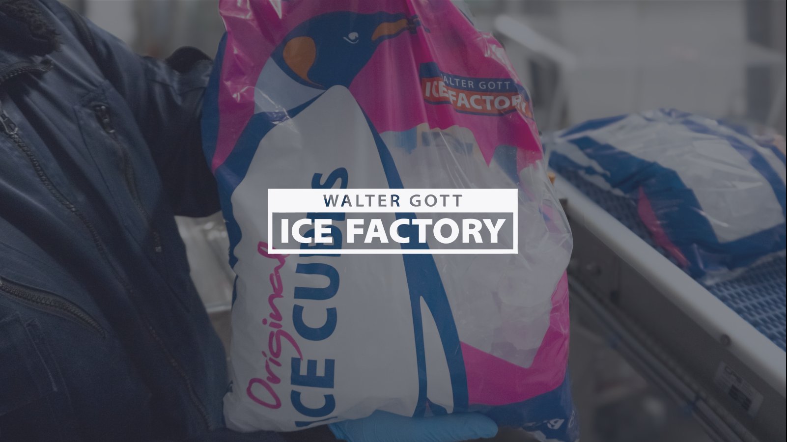 Walter Gott Ice Factory logo on a bag of ice cubes