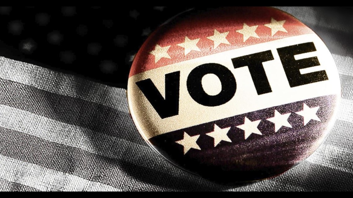 WUSA: Virginia Voter Guide: 2026 Primary