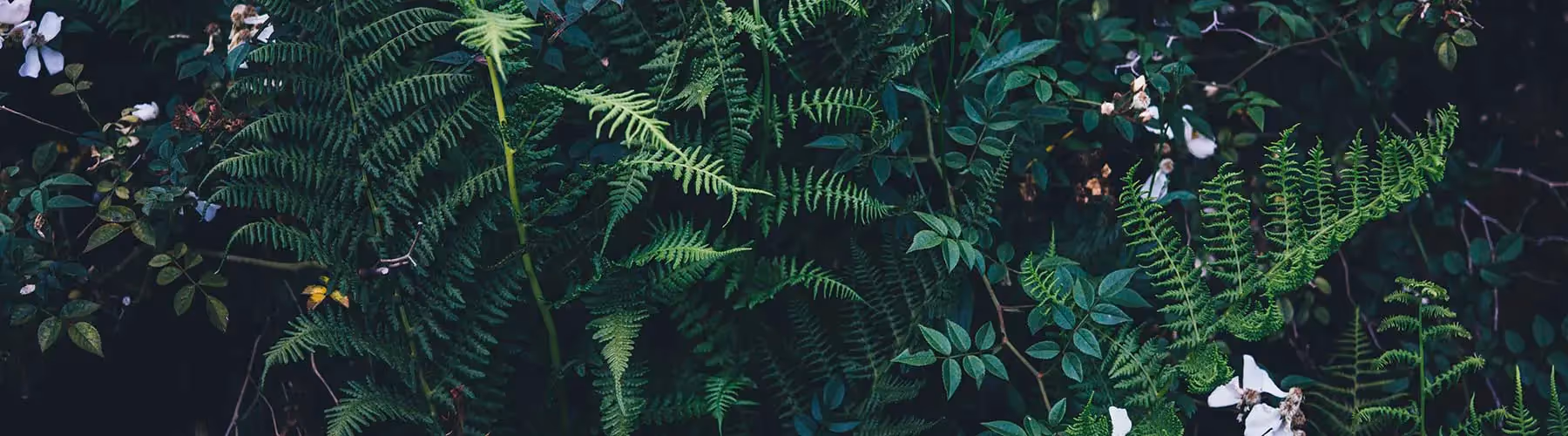 27 Shopify Stats to Read Before Building Your Site