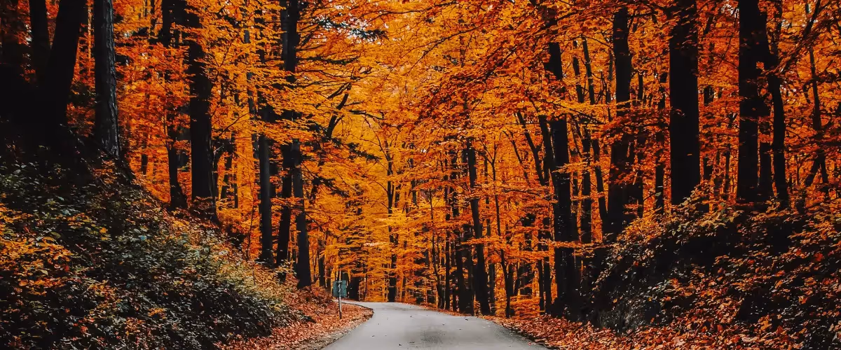 4 Fun Things to Do in Manchester this Autumn