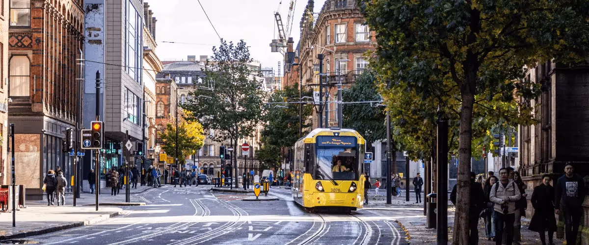 A Brief History of the Manchester Bee
