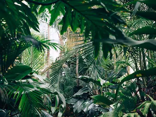 Organic social isn’t dead: Why all brands need an organic content strategy