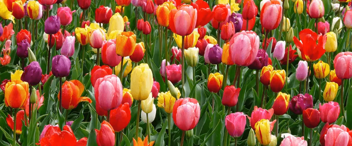The Best Easter Marketing Campaigns of All Time