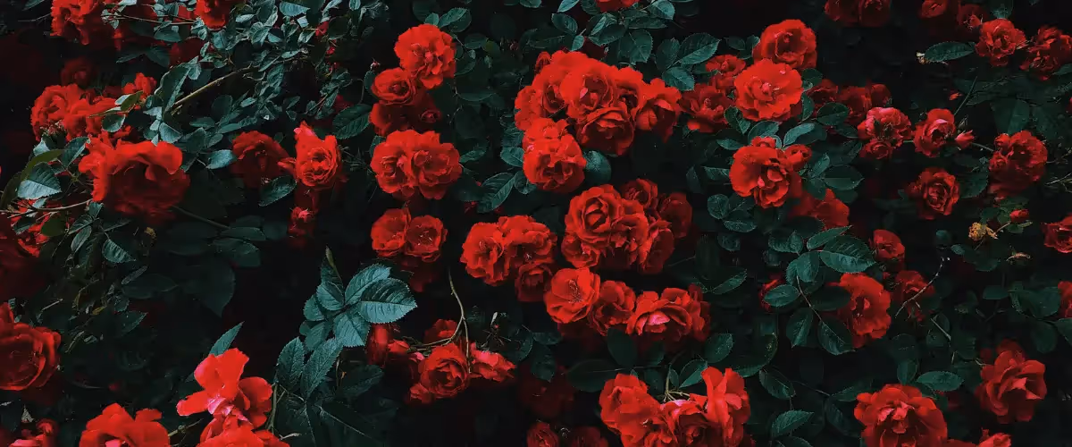 The Best Valentine's Day Marketing Campaigns