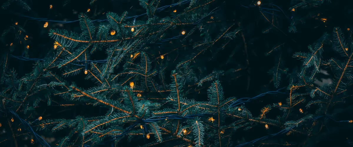 The When, Where & How of Christmas Shopping 2021