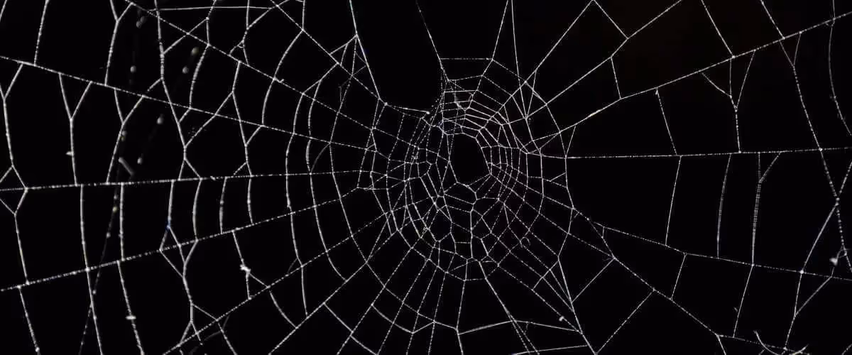 Top Halloween Campaigns to Take Inspiration From