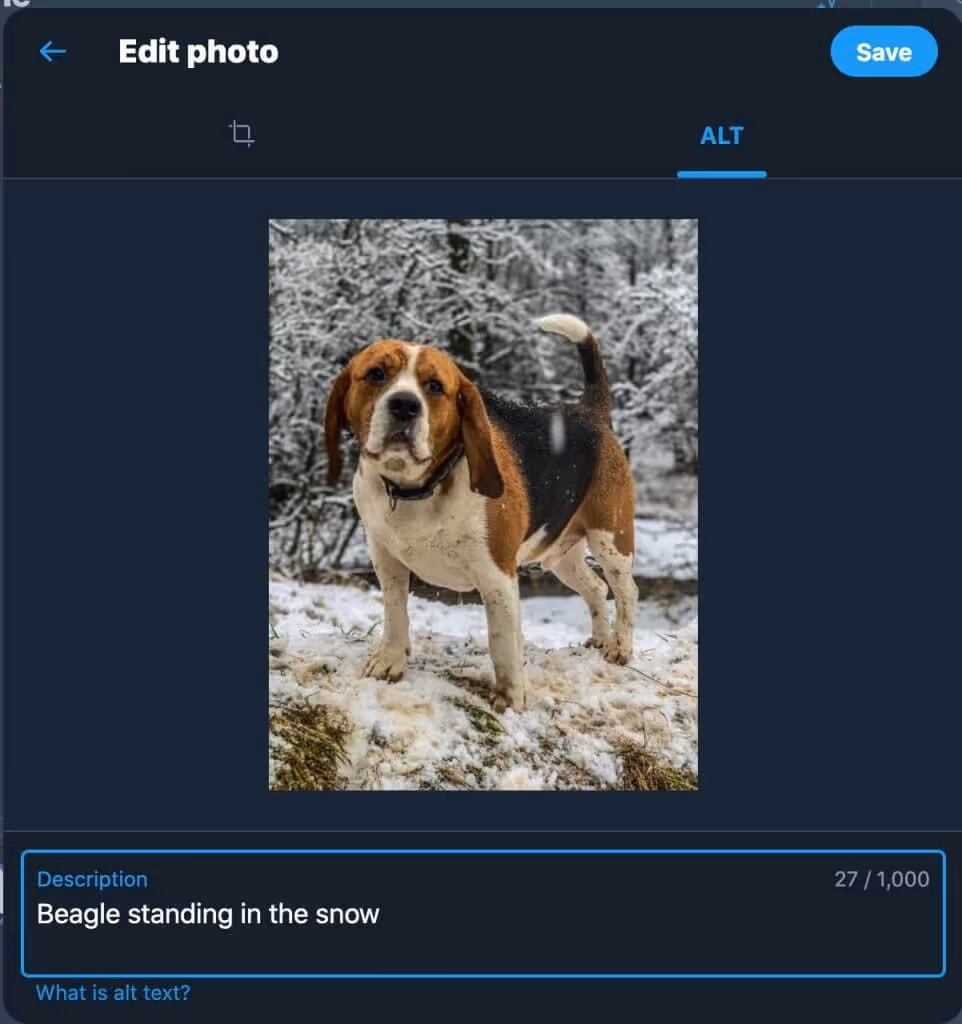 twitter alt text