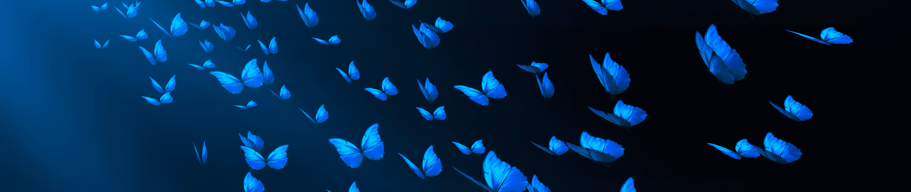 What Is Bluesky and Is It the New Twitter?