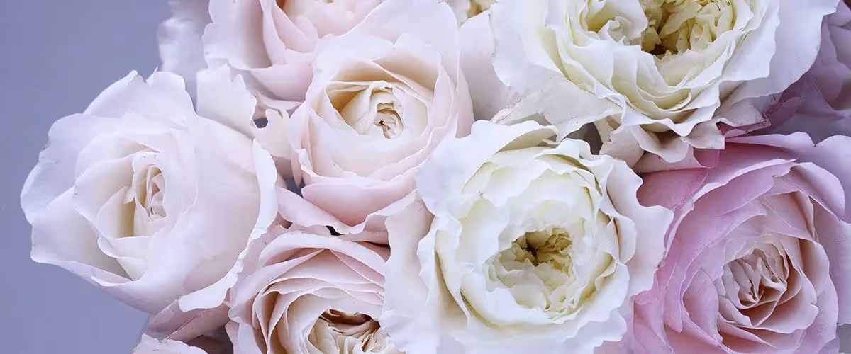 Why social media is essential for fashion startups