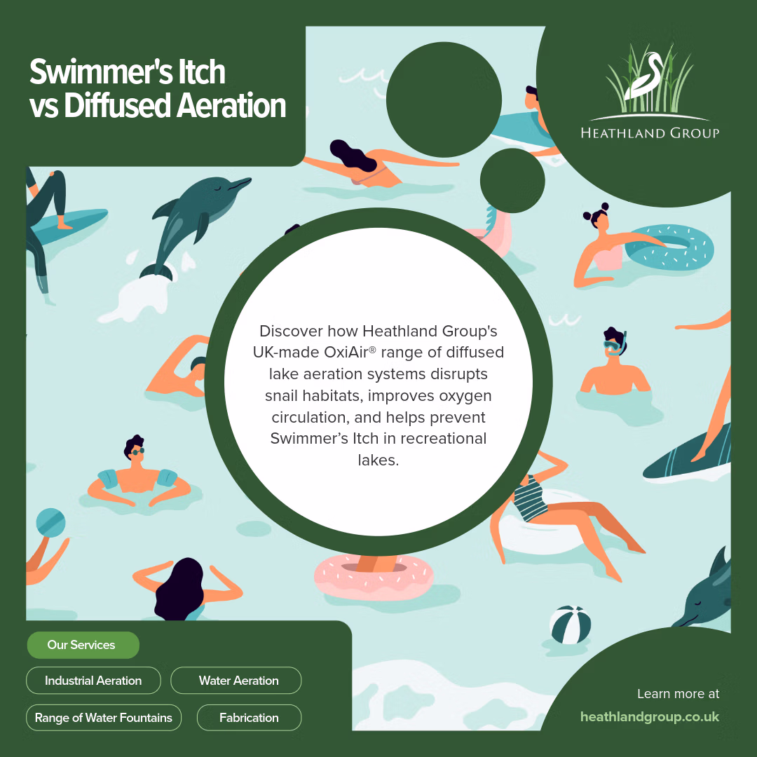 Swimmers Itch infographic