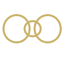 Three rings interlinked representing organization. 