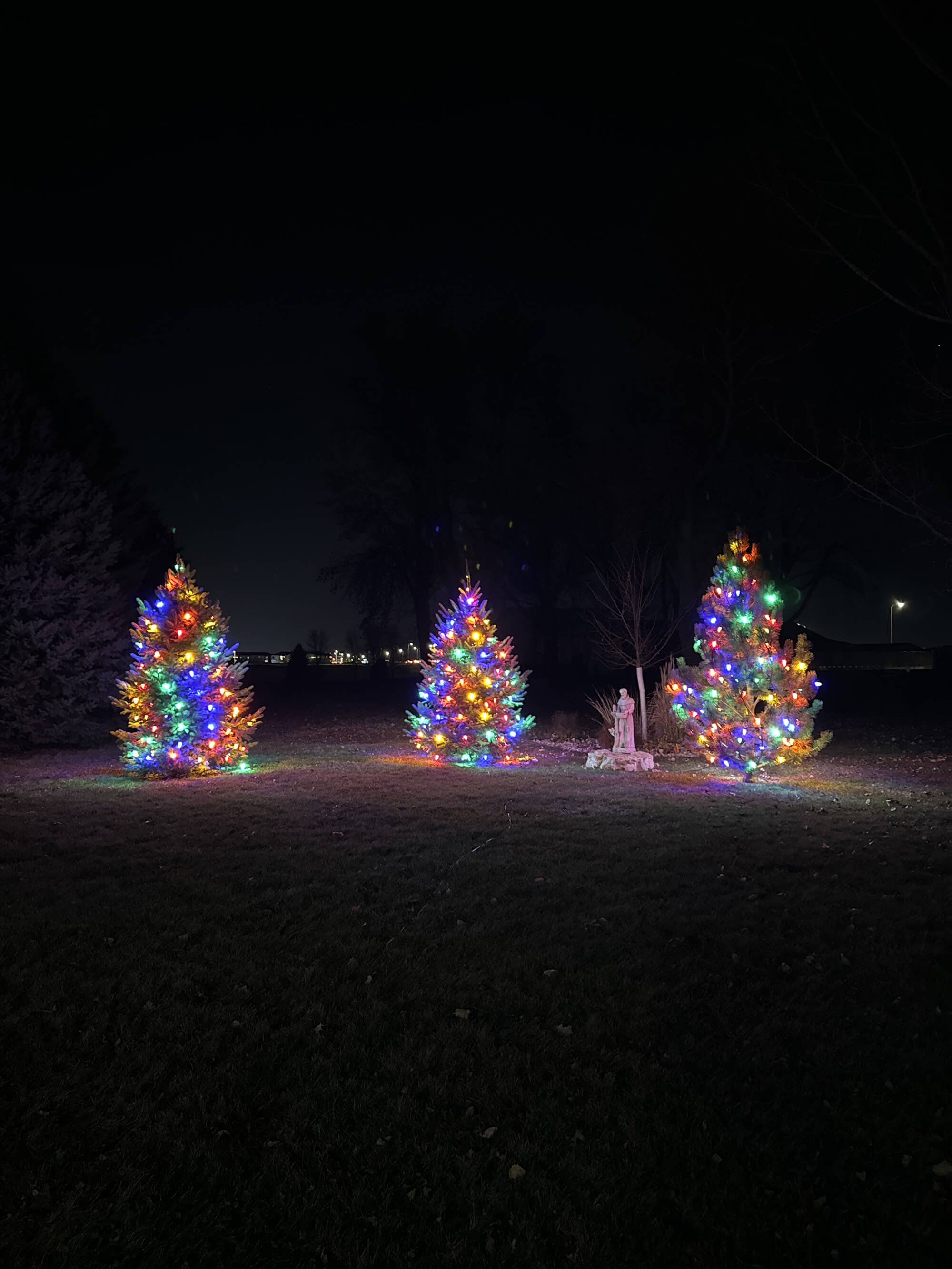 professionally decorated home by 605 Holiday Lighting
