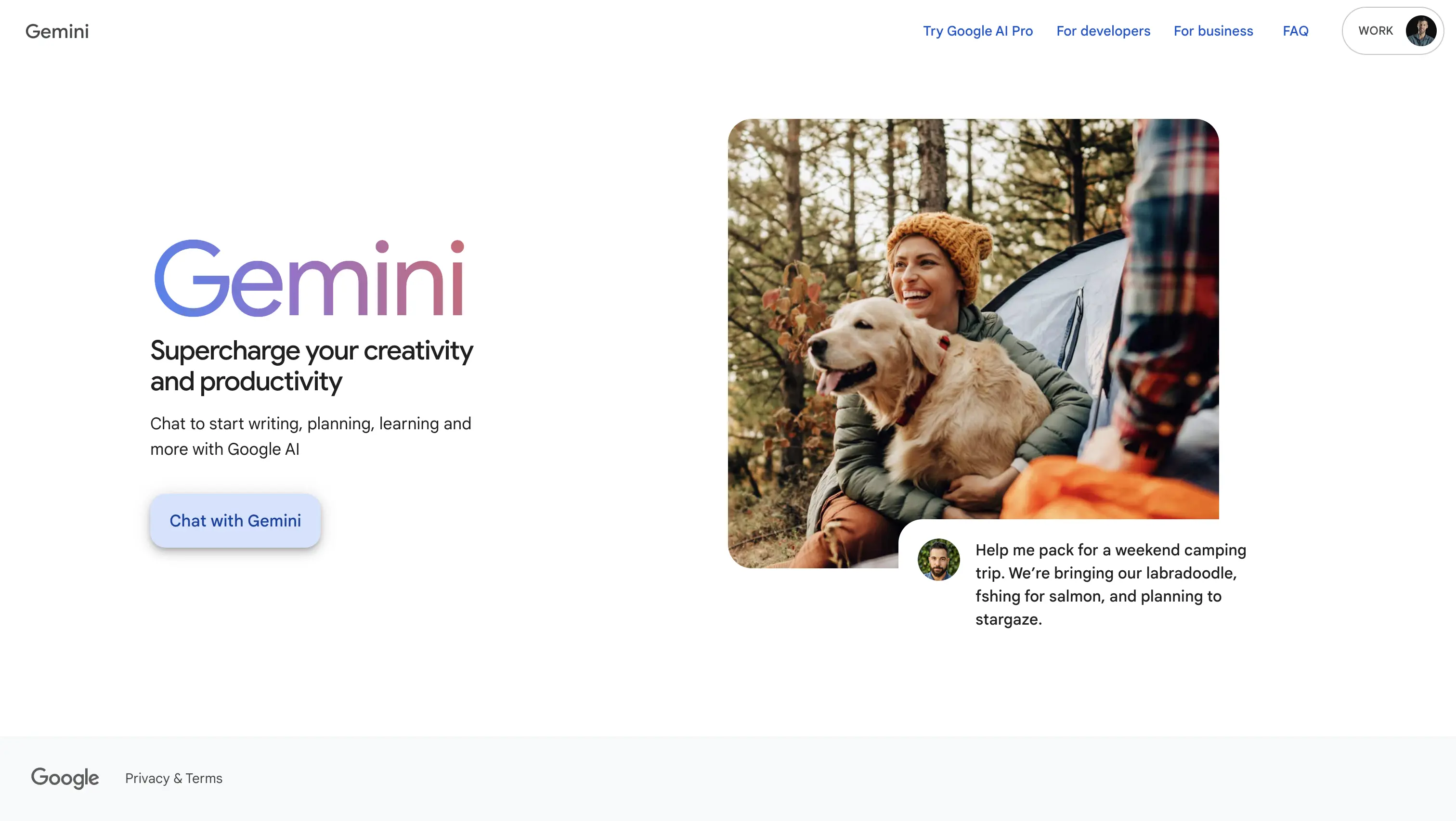 Google Gemini