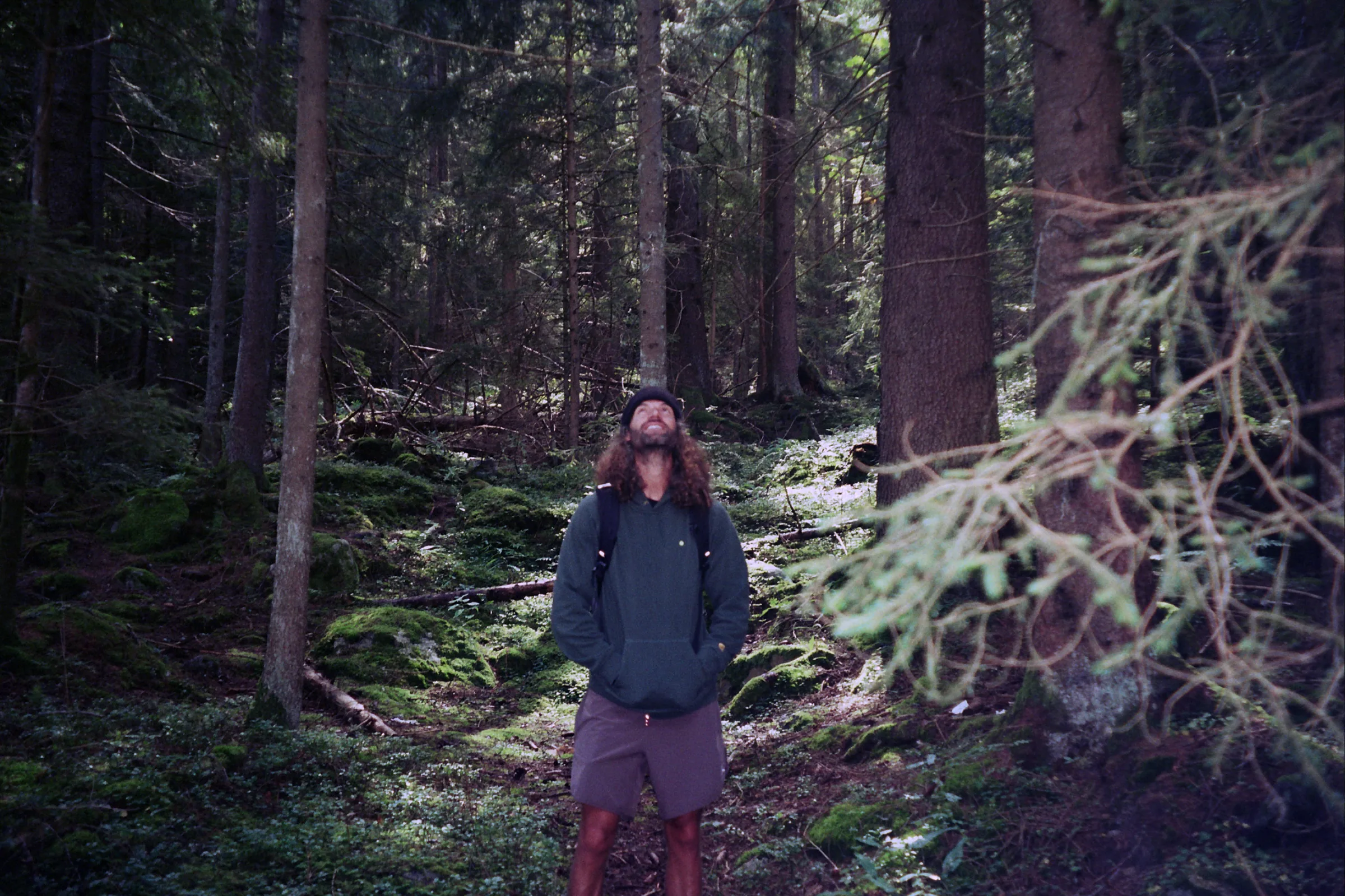 Person in forest