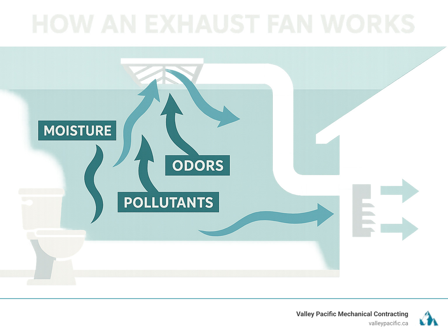 Infographic showing how an exhaust fan works: air circulation arrows demonstrating moisture, odors, and pollutants being drawn from a bathroom through the fan housing, into ductwork, and expelled outside the home - exhaust fan repair infographic 