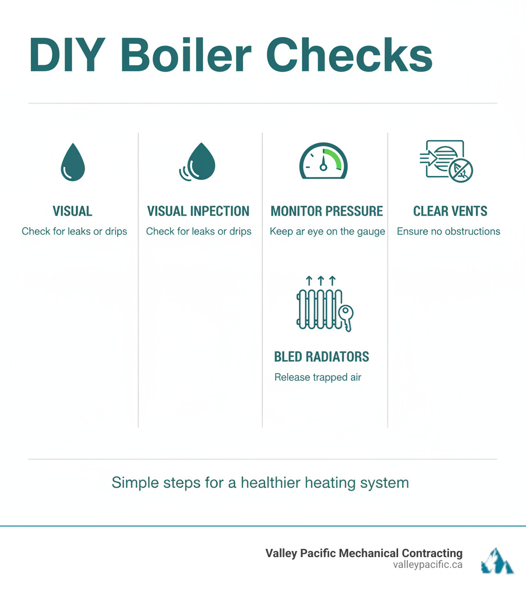 list of simple DIY boiler checks - Boiler system maintenance infographic 