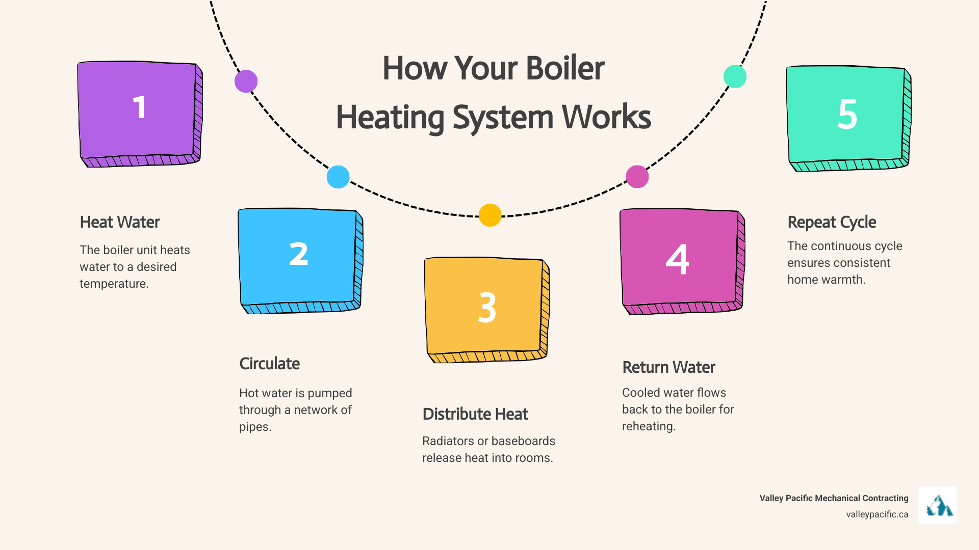 infographic showing the basic components and function of a home boiler heating system, including the boiler unit, water circulation through pipes, radiators or baseboards distributing heat, and return lines back to the boiler - New boiler installation infographic process-5-steps-informal