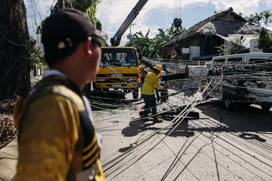 My boiler isn't working. Can you find me companies that offer emergency boiler repair in the Langley area?