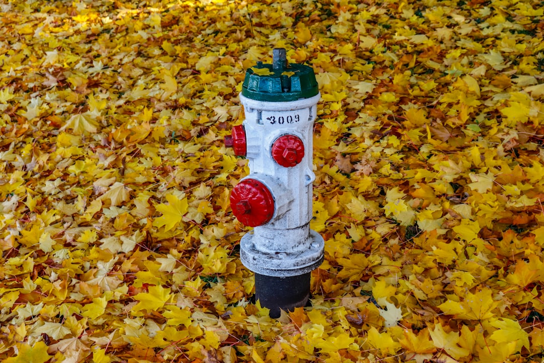 Don't Get Cold Feet with Your Maple Ridge Home Heat Pump Repair