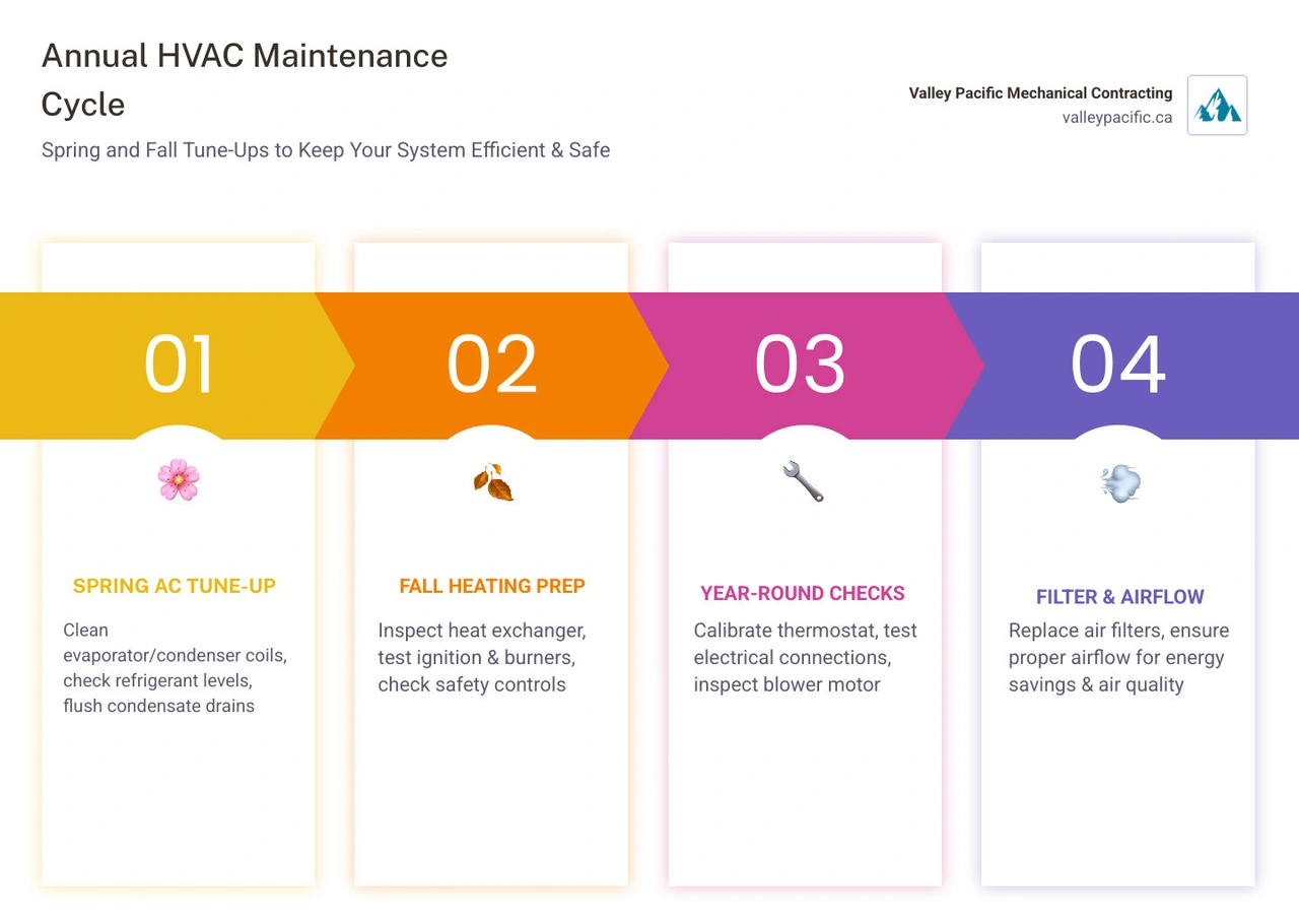 Infographic showing annual HVAC maintenance cycle: spring AC tune-up tasks and fall heating tune-up tasks side by side