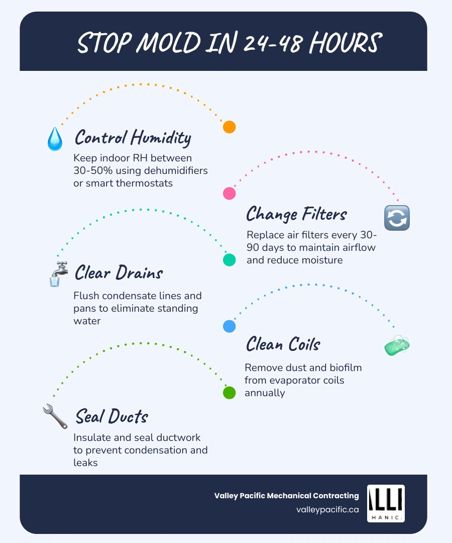 Infographic showing 24-48 hour mold growth cycle in HVAC systems with humidity thresholds and prevention steps infographic Infographic showing 24-48 hour mold growth cycle in HVAC systems with humidity thresholds and prevention steps infographic