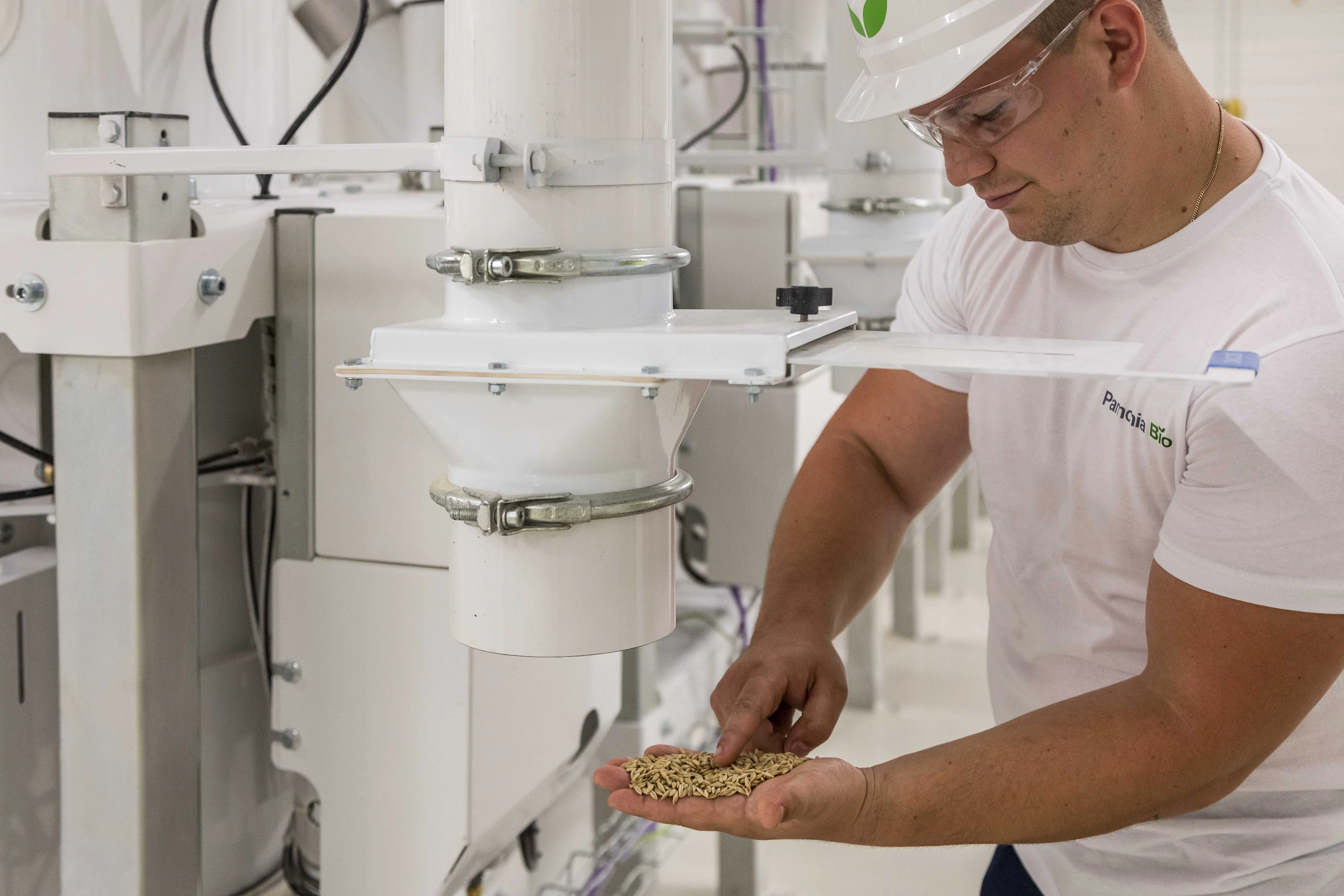 Operator in a hard hat checking a handful of grain at a sampling point