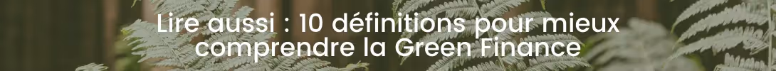 bloc retour vers le lexique green finance