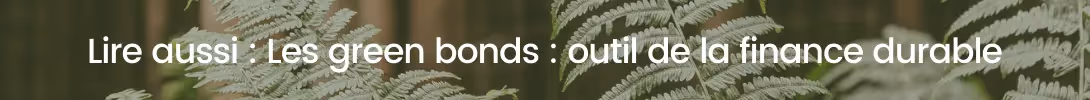 bloc vers article green bonds
