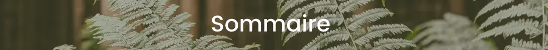 bloc annonce sommaire du dossier Green Finance