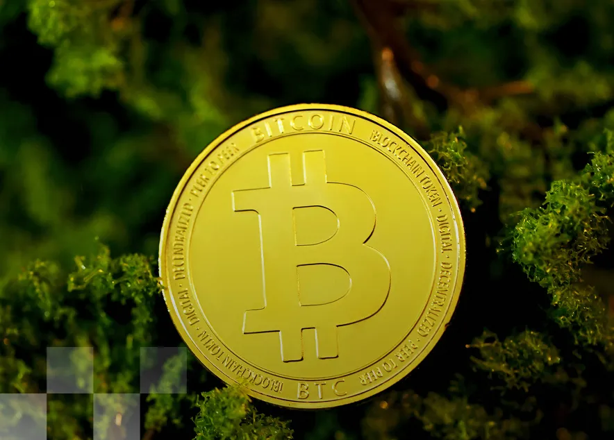 bitcoin sur un fond de verdure