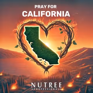 Silhouette of California shaped with green foliage inside a heart of intertwined branches against a sunset with small wildfires, text above says 'Pray for California'.