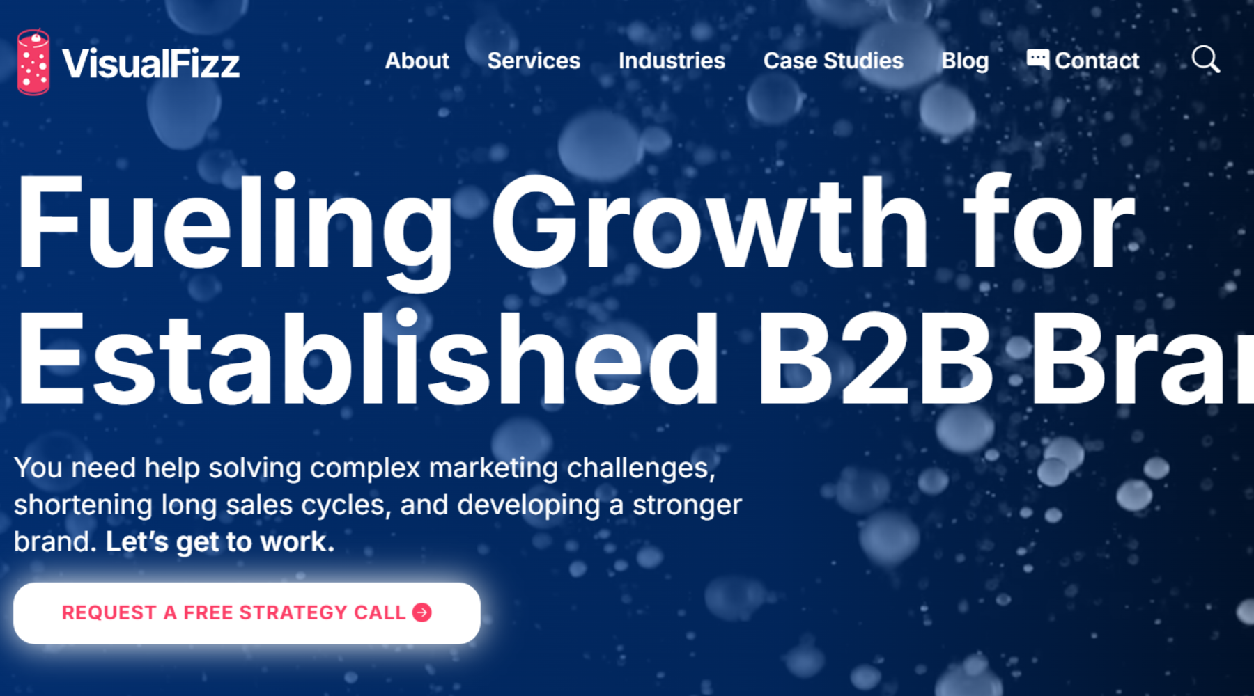 VisualFizz  -digital agency in Chicago