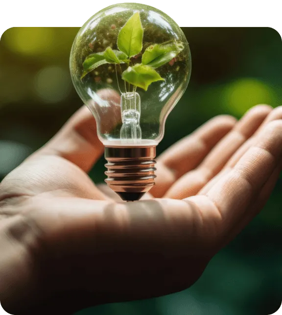 Uma mão aberta segurando uma lâmpada transparente, dentro da qual cresce uma pequena planta verde com folhas frescas, simbolizando ideias de sustentabilidade e energia renovável.