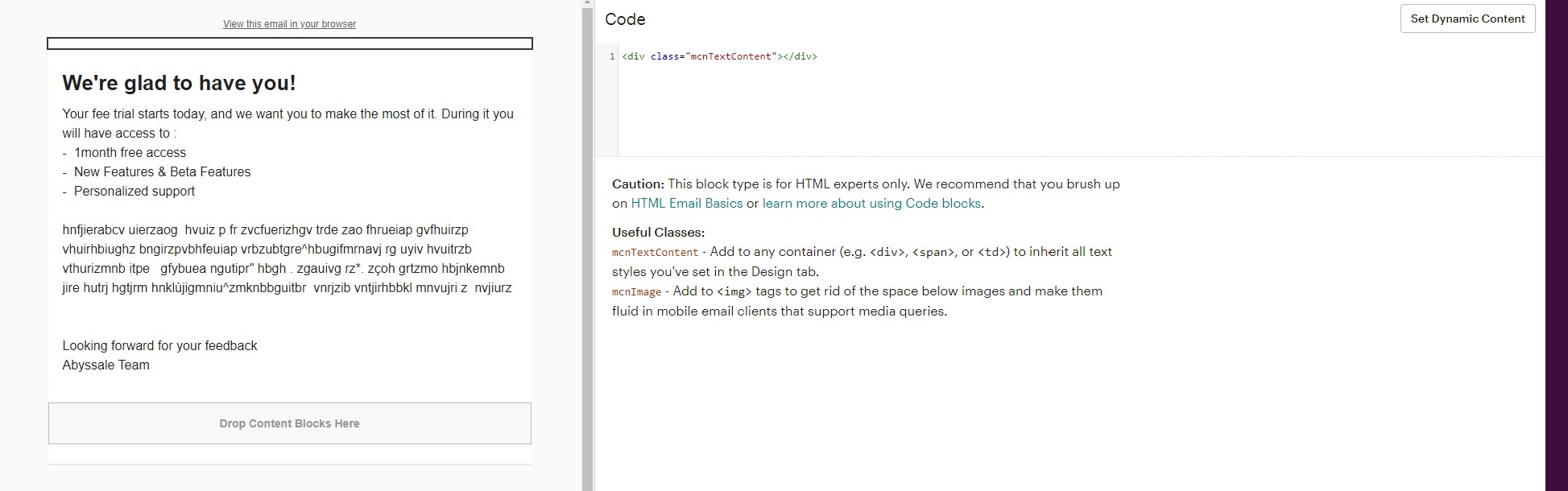 empty mailchimp code bloc