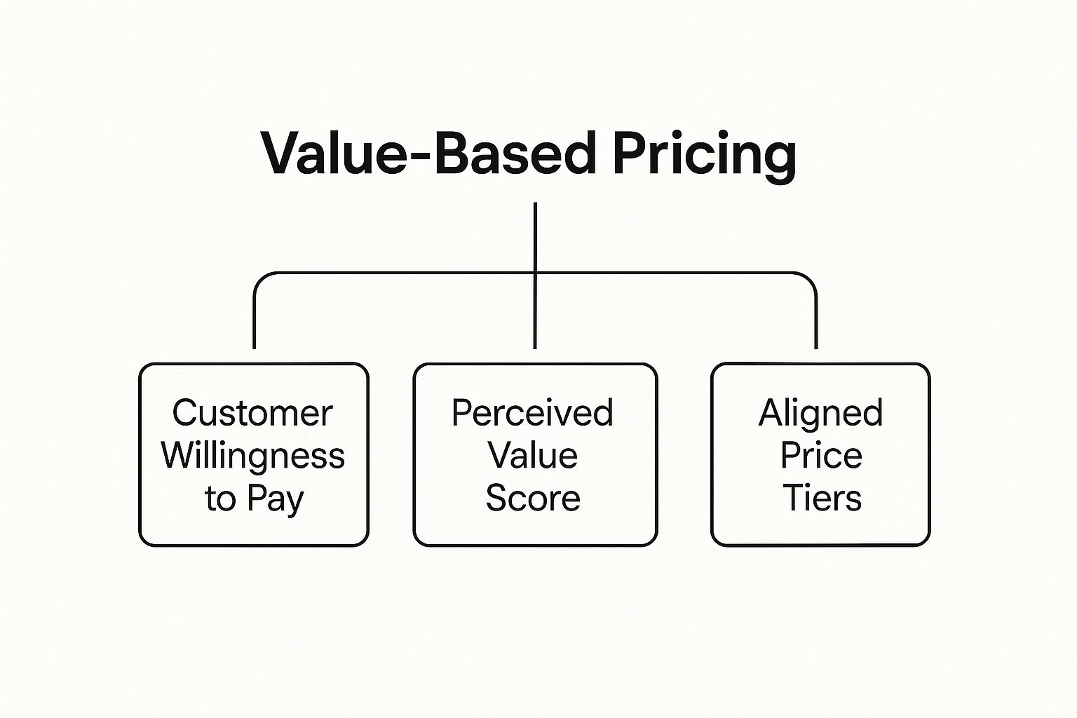 Infographic about software pricing strategies