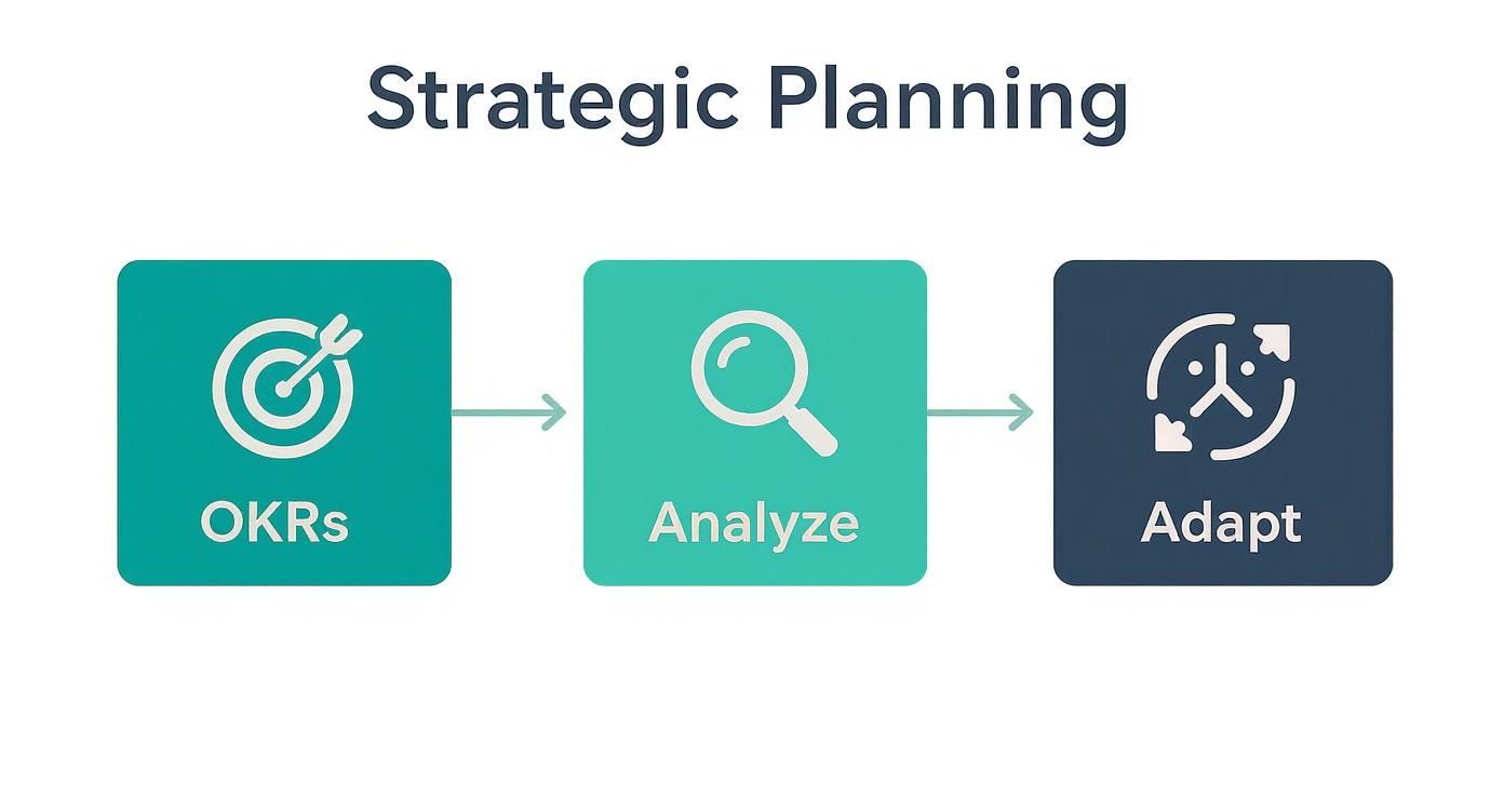 Infographic about b2b growth strategy