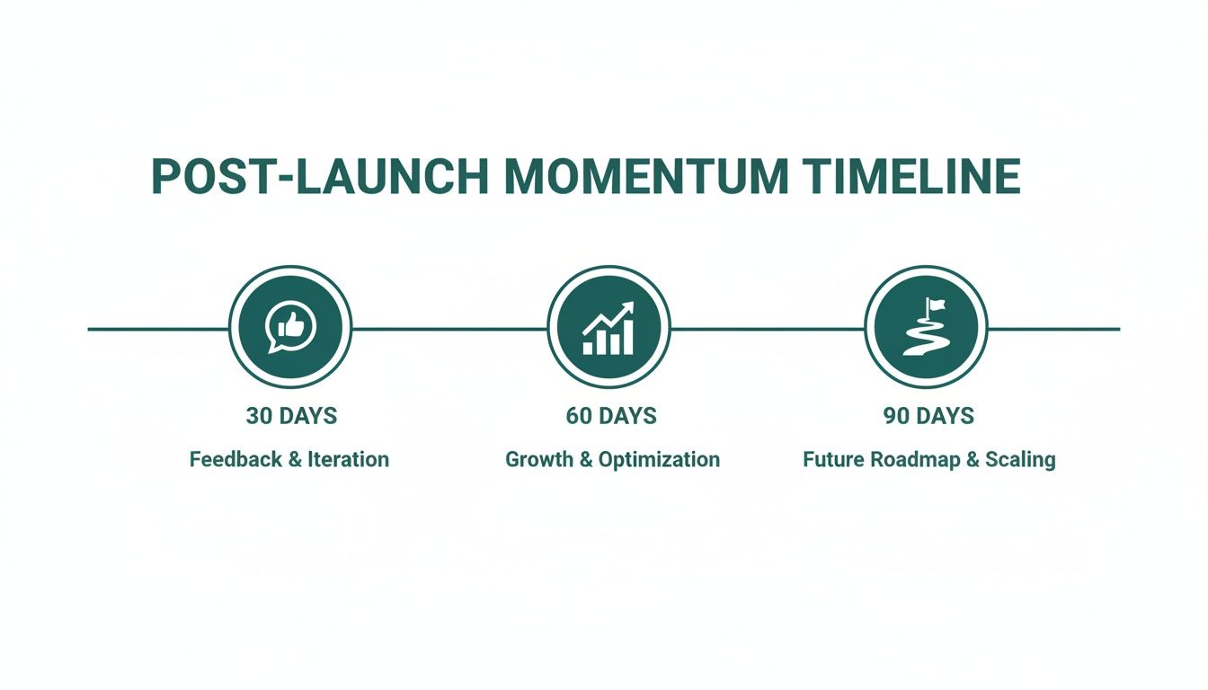 A post-launch momentum timeline showing stages for feedback, growth, and future scaling.