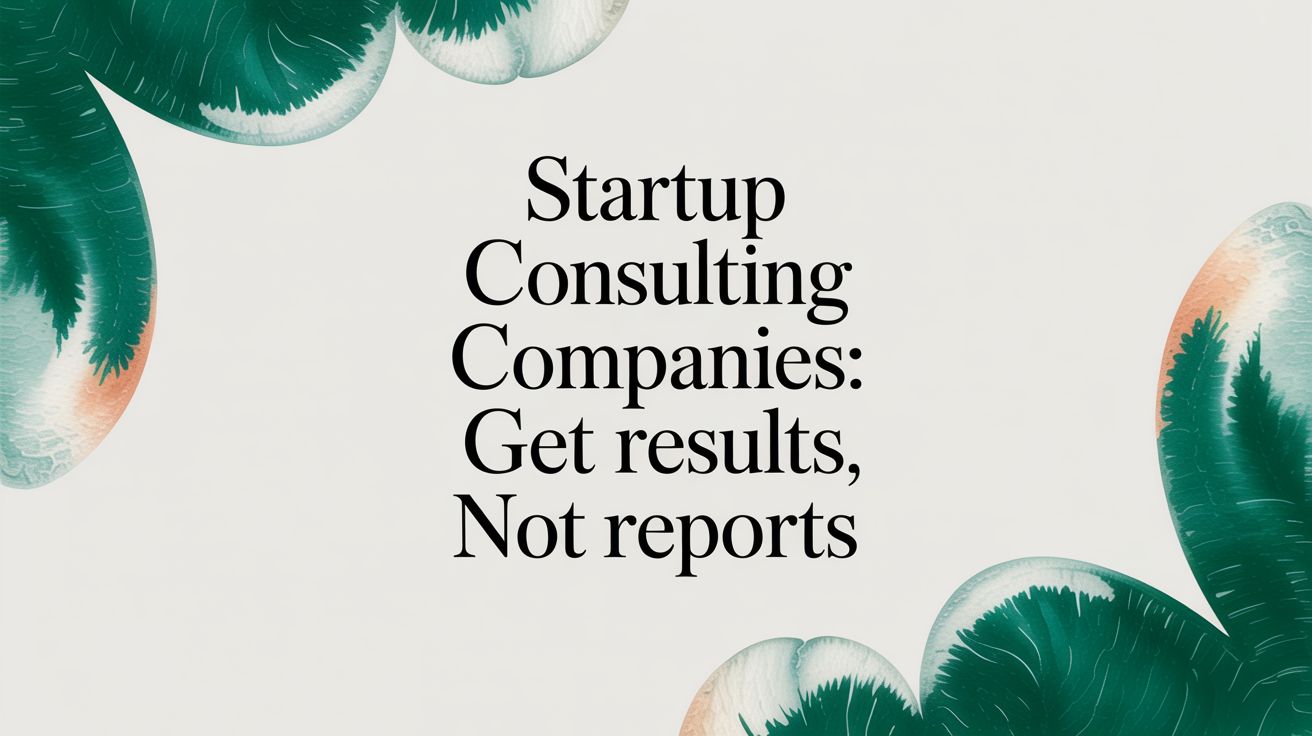Startup Consulting Companies: Get Results, Not Reports