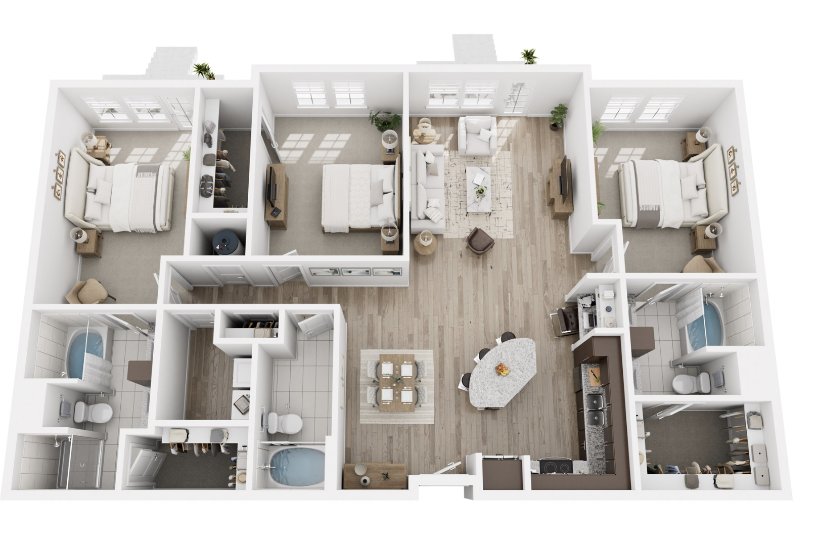 C2 layout