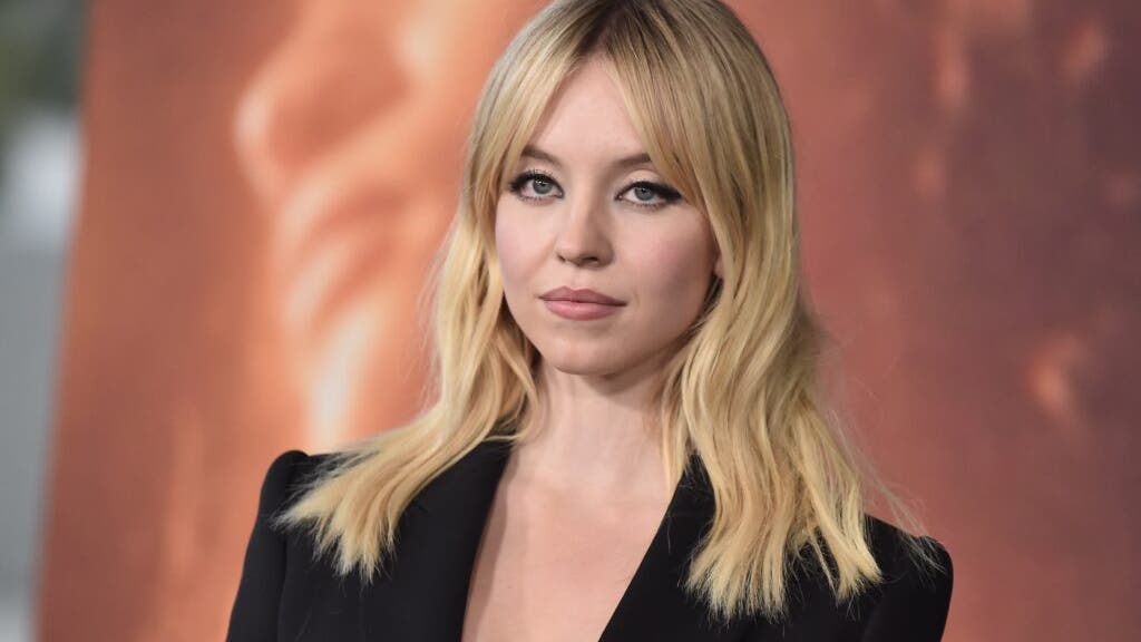 Sydney Sweeney For Palantir Merch? Exec Says 'Hear Me Out' After American Eagle Stock Soars 22%