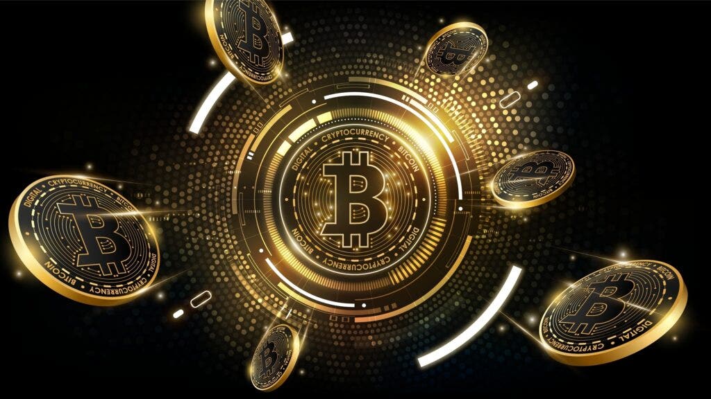Scams, Lost Keys, and Forgotten Wallets: The Bitcoin Whisperer Who Brings Crypto Back
