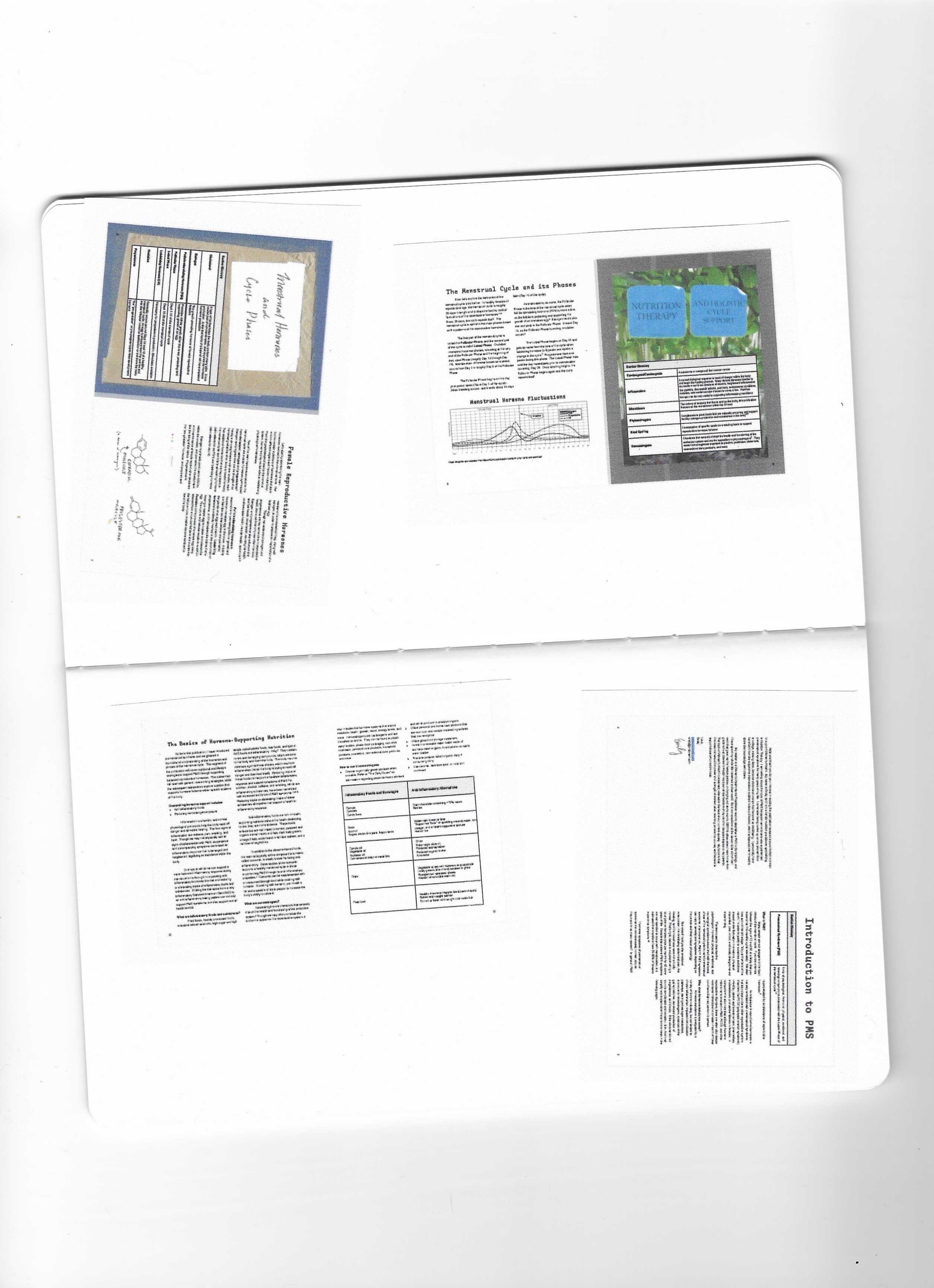 ciclo well clinic ebook