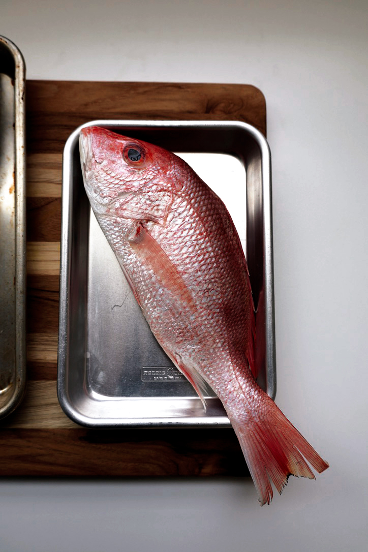 red-snapper-fish