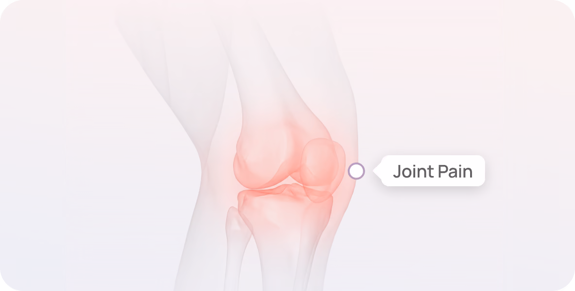 Illustration of a human knee joint highlighted in red indicating joint pain.
