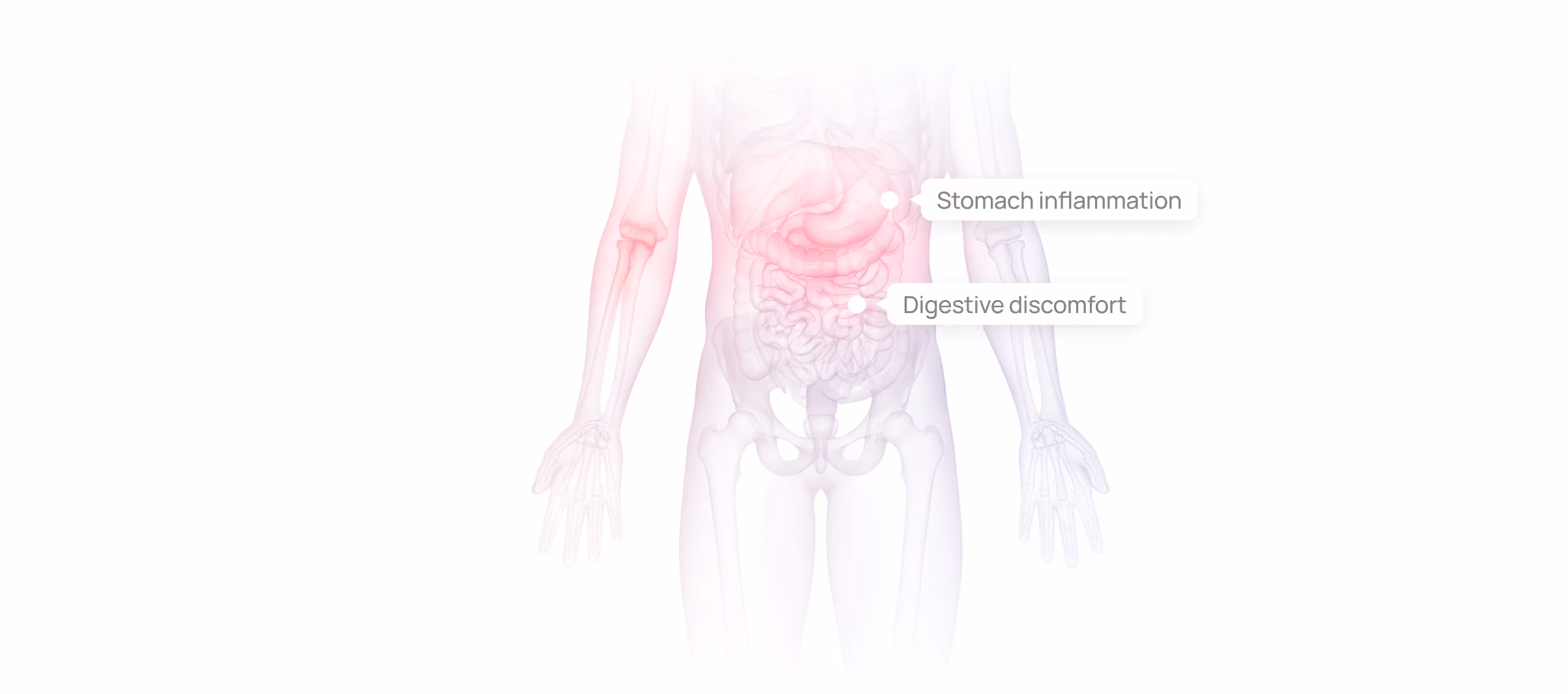 Transparent human body showing digestive system with red highlights around the stomach and intestines, indicating stomach inflammation and digestive discomfort.