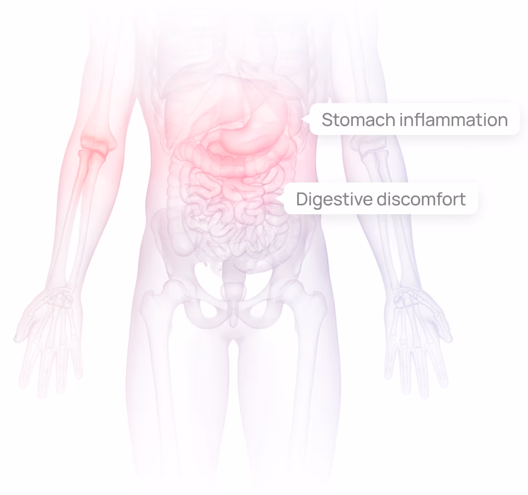 Transparent human torso showing stomach and intestines with red shading indicating stomach inflammation and digestive discomfort.